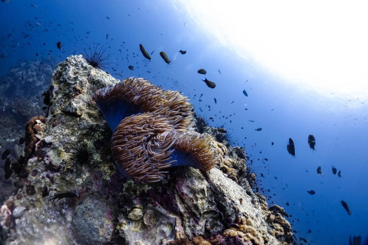 Hydronauts Diving Resort - Ko Tao Luaran gambar