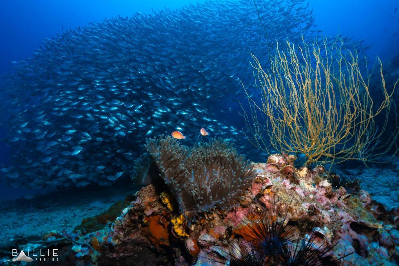 Hydronauts Diving Resort - Ko Tao Luaran gambar