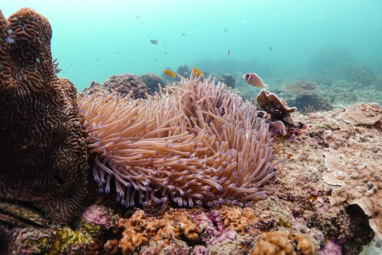 Hydronauts Diving Resort - Ko Tao Luaran gambar